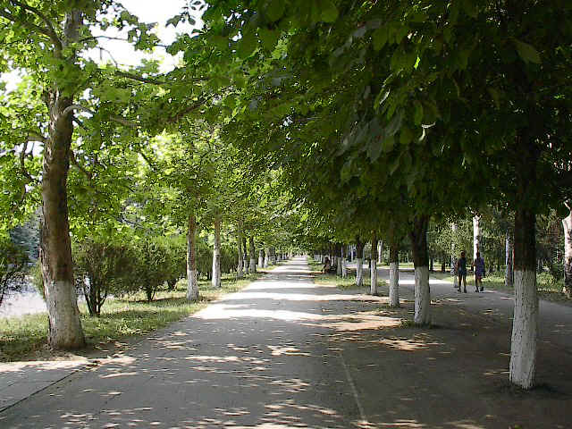 park.jpg (147132 bytes)